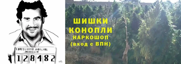 трава Бородино