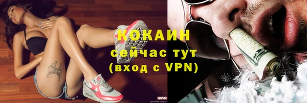 трава Бородино