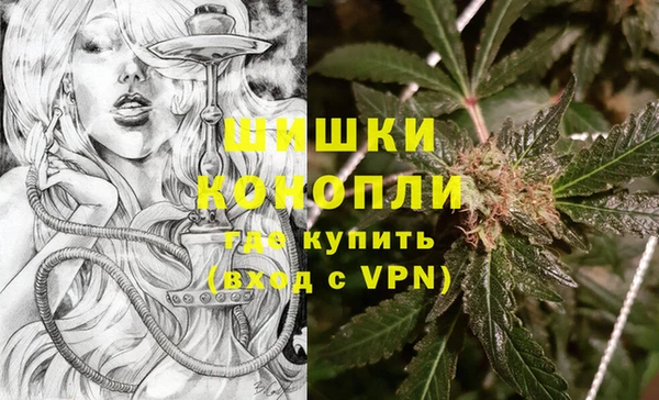 трава Бородино