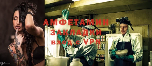 трава Бородино