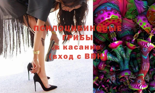 трава Бородино