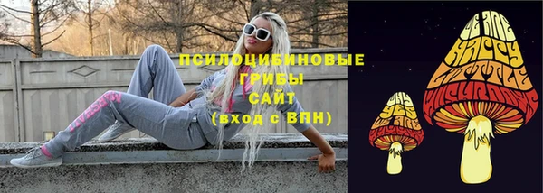 крисы Бугульма