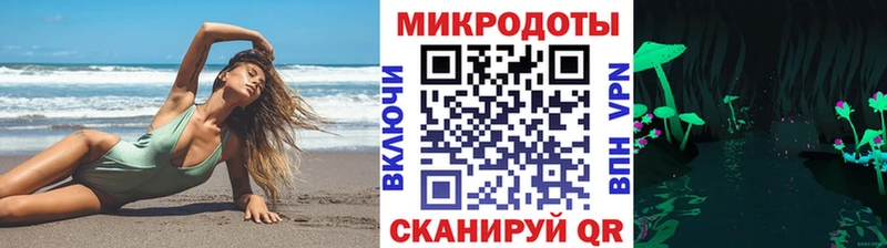 hydra зеркало  даркнет сайт  Городец  Галлюциногенные грибы мицелий 